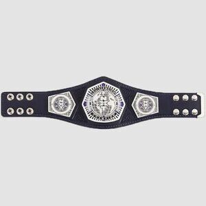 New REAL NXT Cruiserweight Championship Mini Wrestling Title Replica Belt WWE